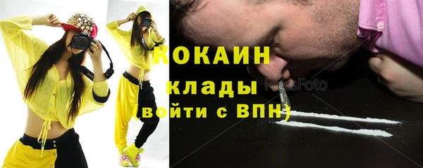 индика Абинск